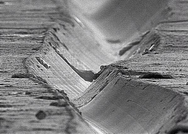 10341614_10203576187902258_88936155082262323_n